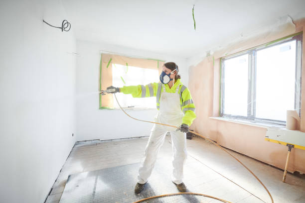  Potterville, MI Mold Removal Pros