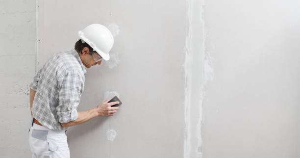 Best Indoor Air Quality Assessment  in Potterville, MI