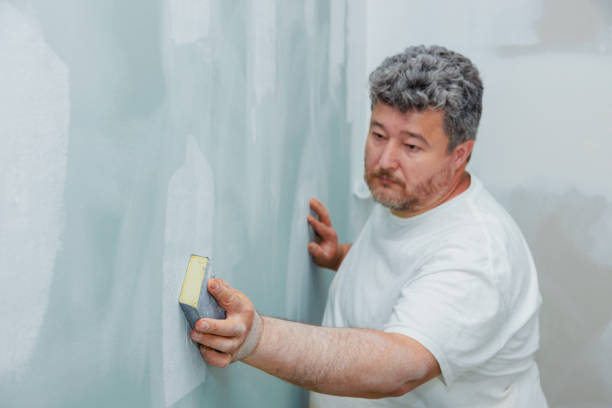 Trusted Potterville, MI Mold Removal Experts